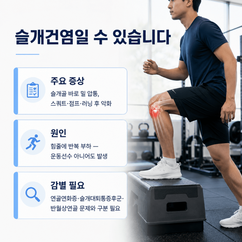  슬개골 아래 통증과 슬개건염 가능성을 설명하는 이미지
