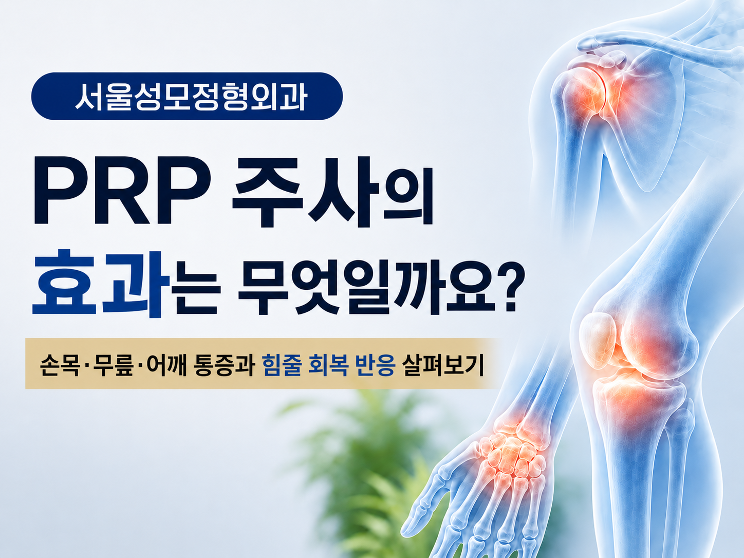 의왕 내손동 PRP주사, 무릎·어깨·손목 통증에 어떤 도움이 될까요?