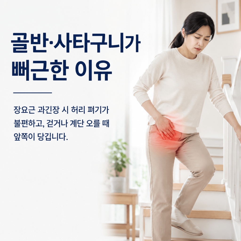 스트레칭해도 반복되는 골반 사타구니 당김 원인