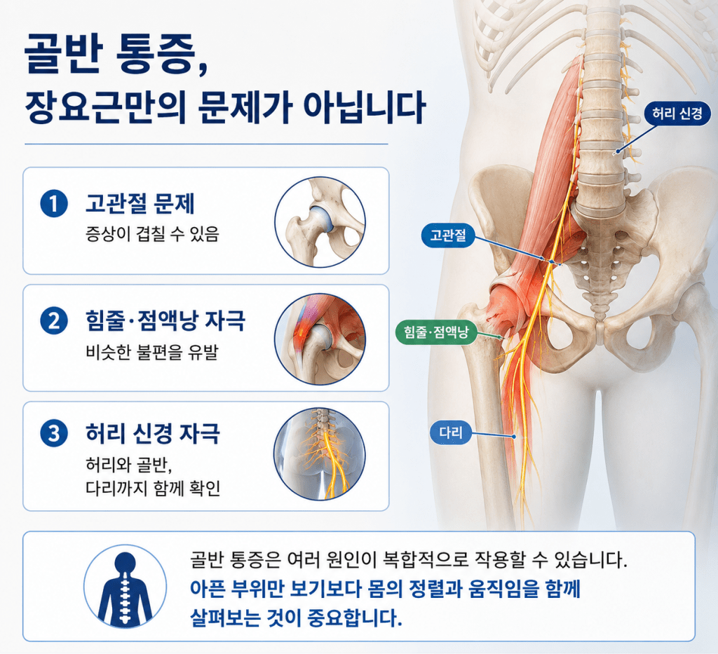 보행 시 체중 쏠림과 골반 고관절 부담