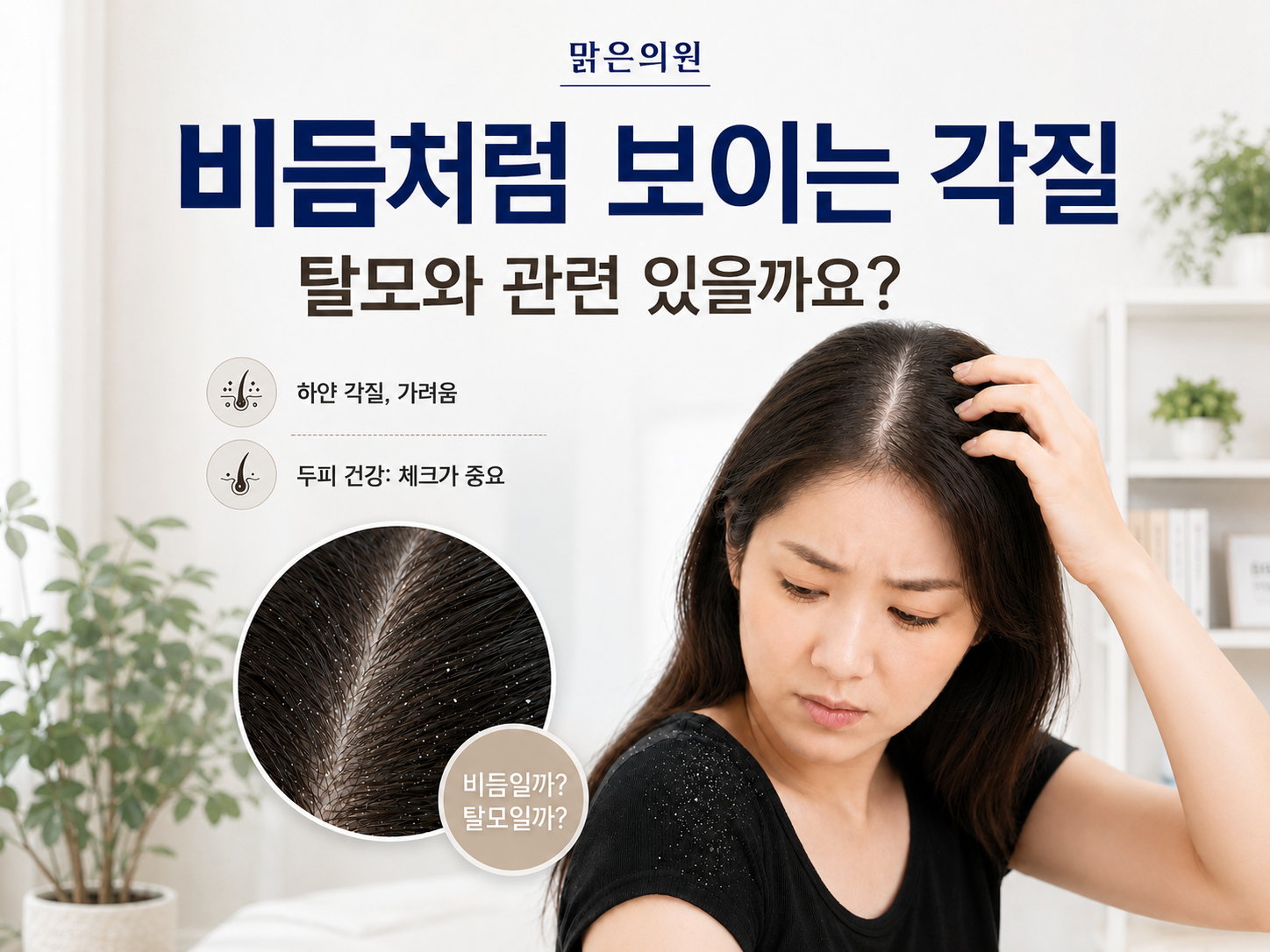 석관동 두피관리 | 비듬처럼 보이는 각질, 탈모와 관련 있을까요?